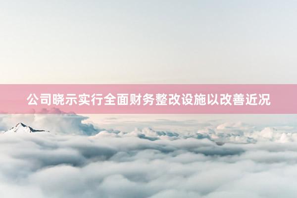 公司晓示实行全面财务整改设施以改善近况